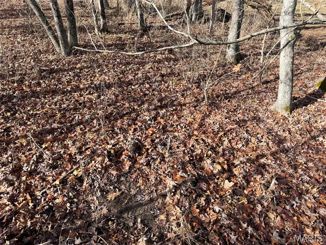 $769,000 | 0 Haverstick School Road, Festus, MO 63028