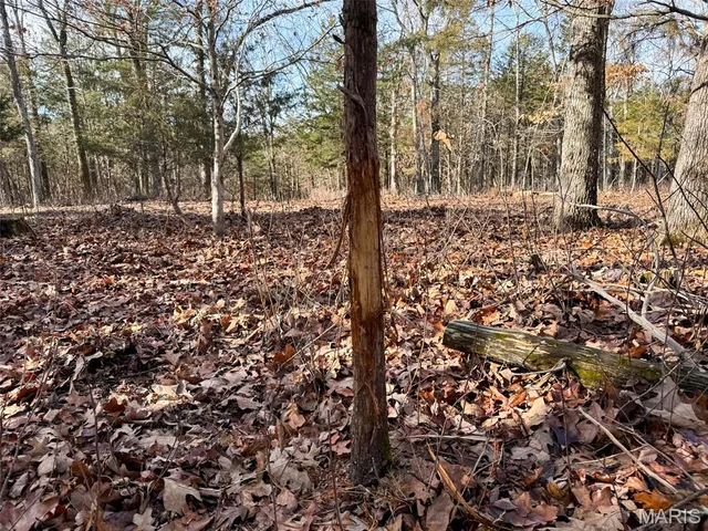 $769,000 | 0 Haverstick School Road, Festus, MO 63028