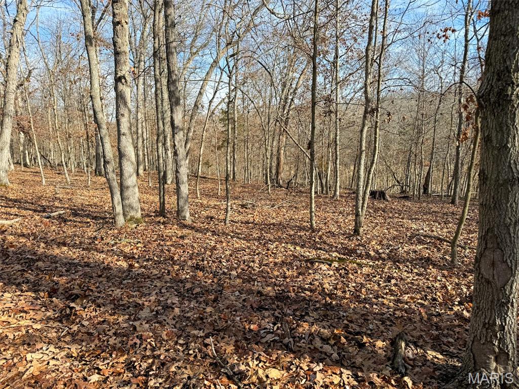 0 Haverstick School Road Festus, MO 63028 - Photo 2 of 26