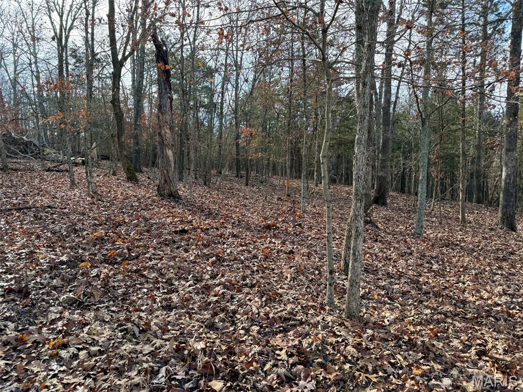 0 Haverstick School Road Festus, MO 63028 - Photo 21 of 26