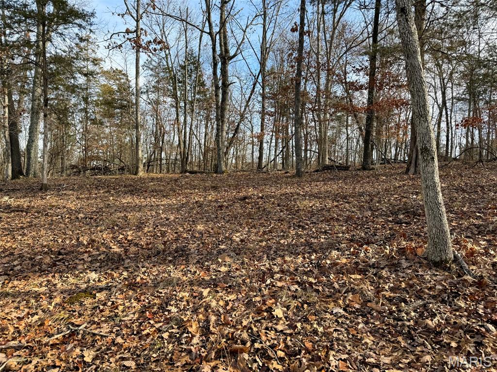 0 Haverstick School Road Festus, MO 63028 - Photo 22 of 26