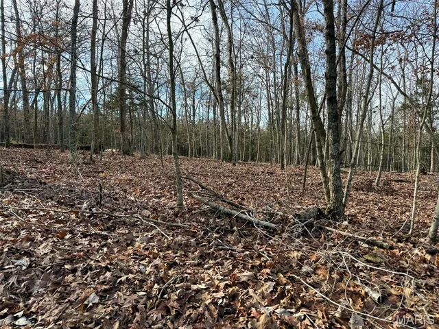 $769,000 | 0 Haverstick School Road, Festus, MO 63028