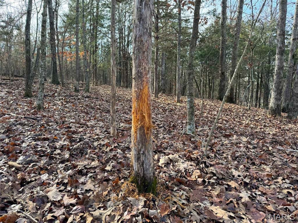 0 Haverstick School Road Festus, MO 63028 - Photo 3 of 26