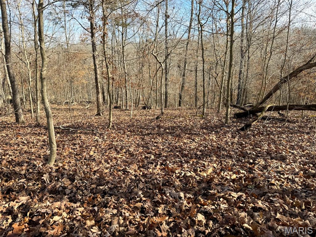 0 Haverstick School Road Festus, MO 63028 - Photo 4 of 26