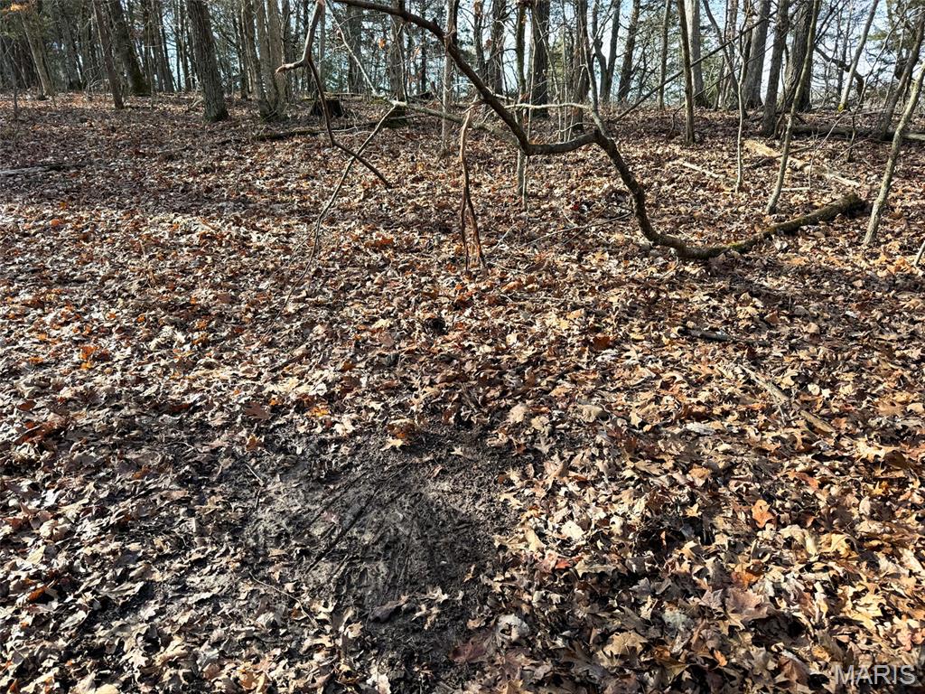 0 Haverstick School Road Festus, MO 63028 - Photo 5 of 26