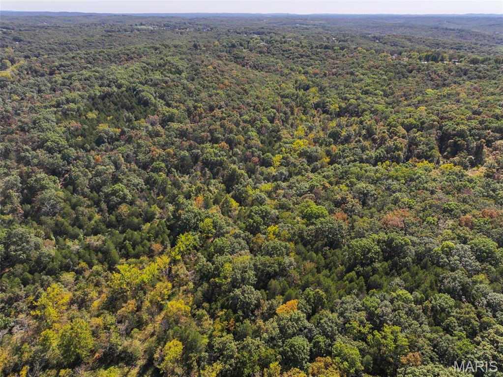 0 Haverstick School Road Festus, MO 63028 - Photo 7 of 26