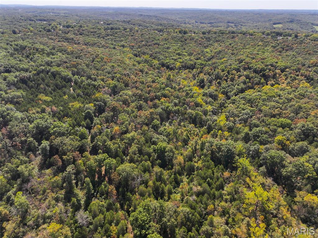 0 Haverstick School Road Festus, MO 63028 - Photo 8 of 26