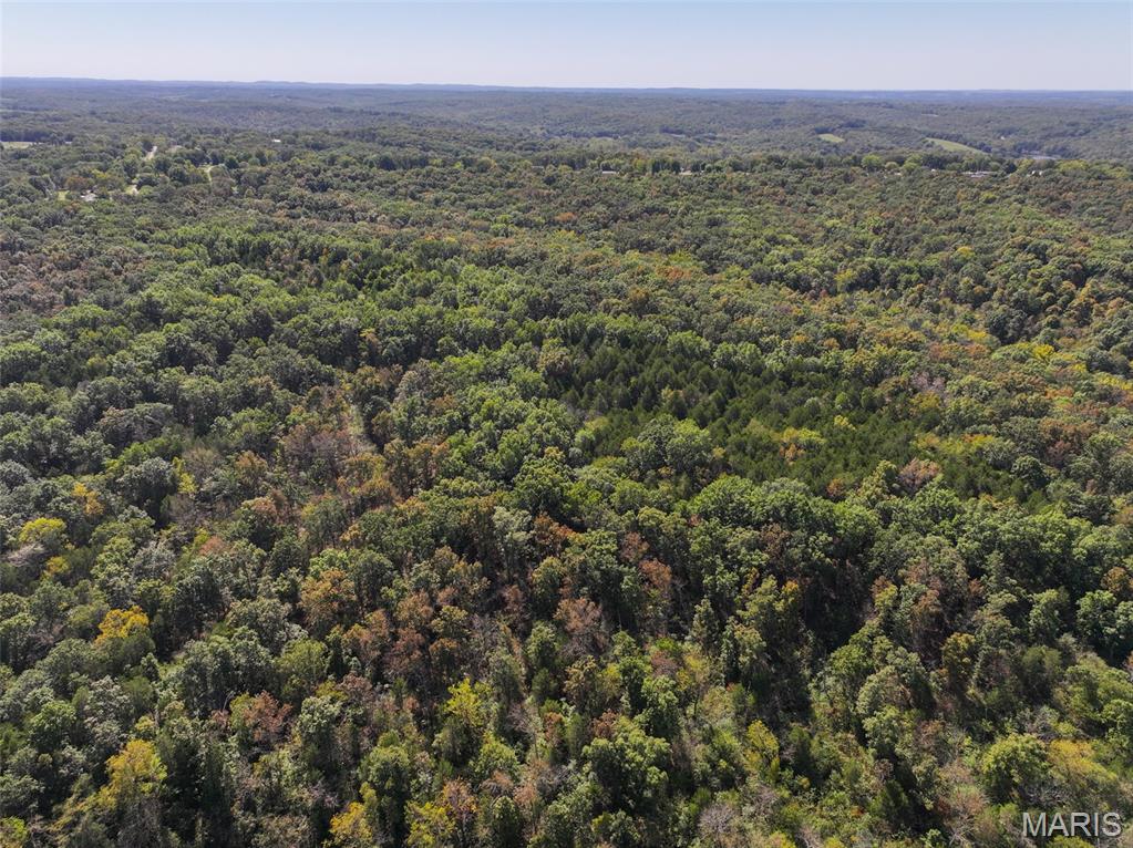 0 Haverstick School Road Festus, MO 63028 - Photo 9 of 26