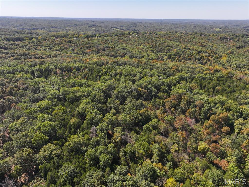 0 Haverstick School Road Festus, MO 63028 - Photo 10 of 26