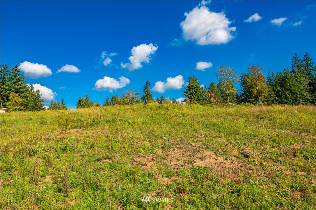 0 Risley Road, Unit LOT B Kelso, WA 98626 - Photo 3 of 18 Gallery Image 3