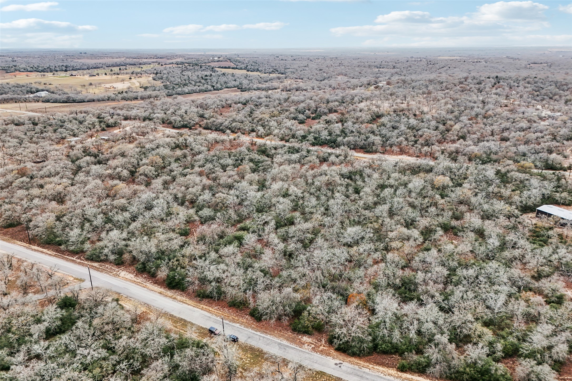 View of property location with a forest