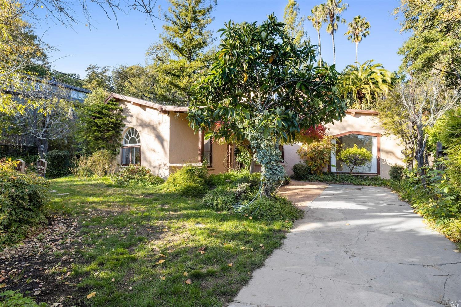Sunny location with good privacy in prime Kentfield spot