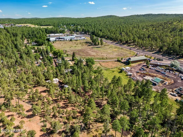 $125,000 | Tbd East Ellsworth Road, Show Low, AZ 85901