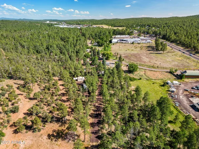 $125,000 | Tbd East Ellsworth Road, Show Low, AZ 85901