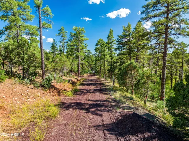 $125,000 | Tbd East Ellsworth Road, Show Low, AZ 85901