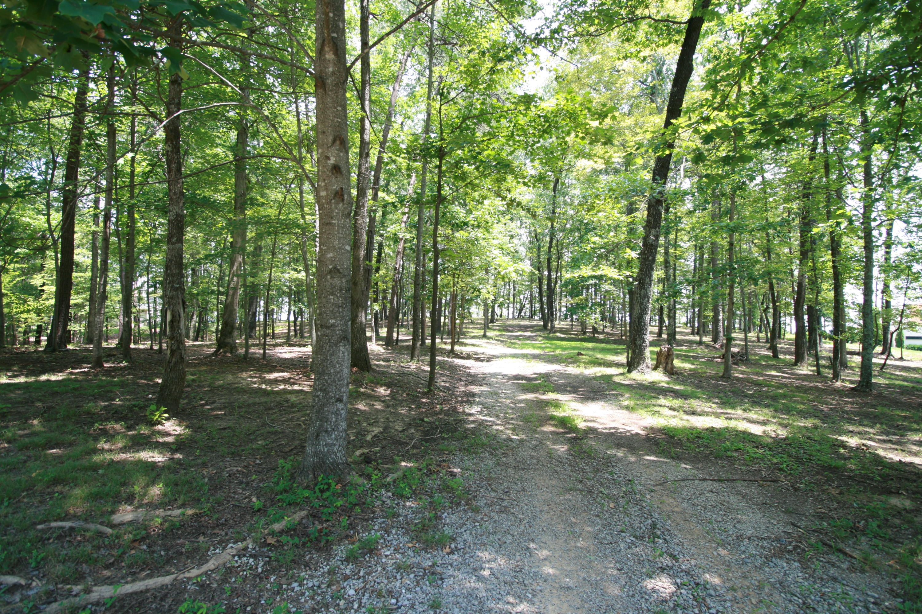 0 Cumberland Road, Unit 7 Chattanooga, TN 37419 - Photo 2 of 6 IMG_1311