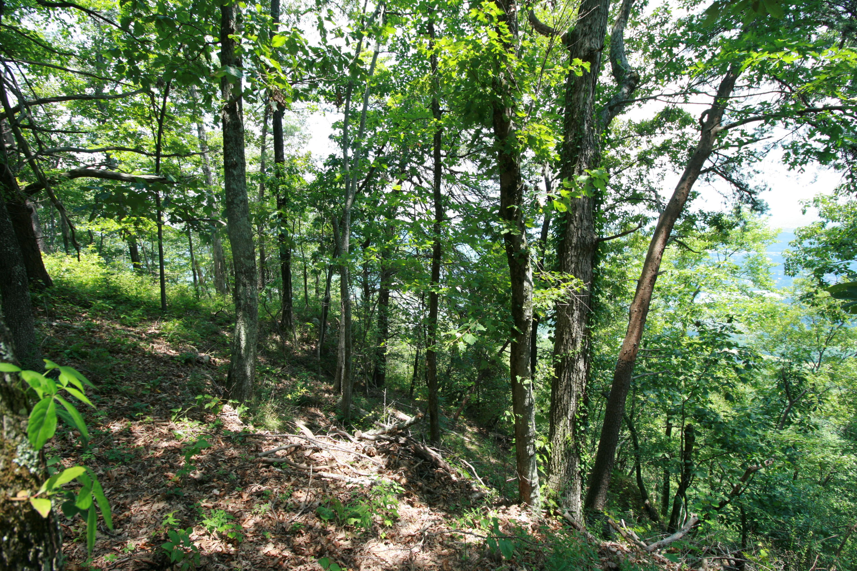0 Cumberland Road, Unit 7 Chattanooga, TN 37419 - Photo 4 of 6 IMG_1313