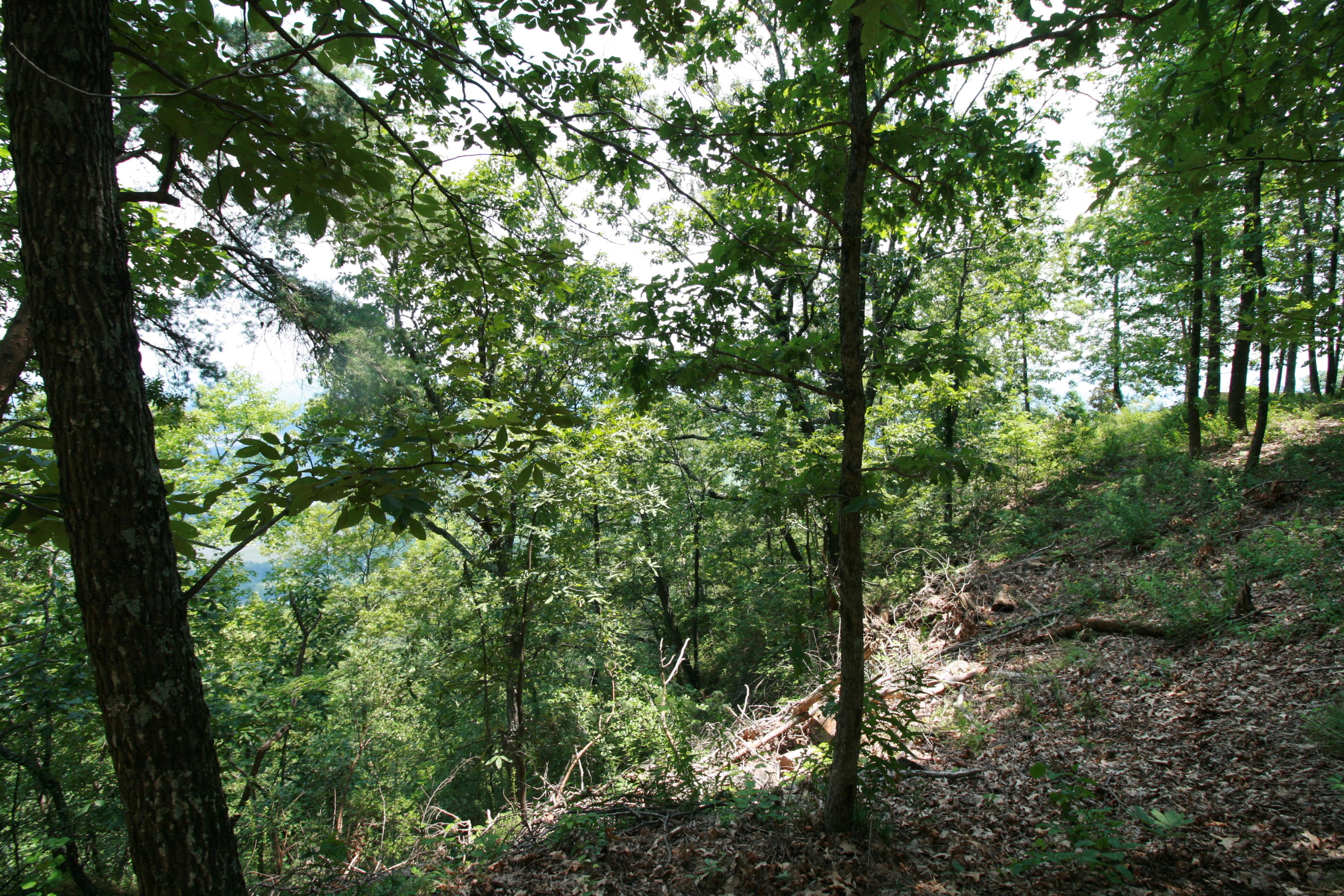 0 Cumberland Road, Unit 7 Chattanooga, TN 37419 - Photo 5 of 6 IMG_1314