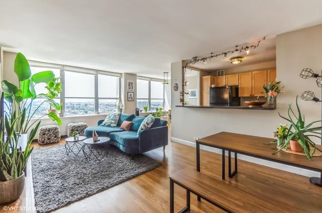 a living room with furniture and a potted plant
