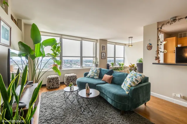 a living room with furniture and a potted plant