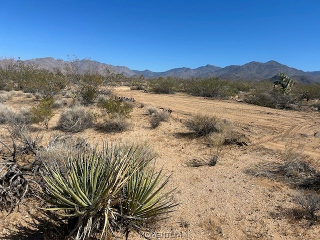 244-08-259 Apache Road Yucca, AZ 86438 - Photo 7 of 21 Gallery Image 7