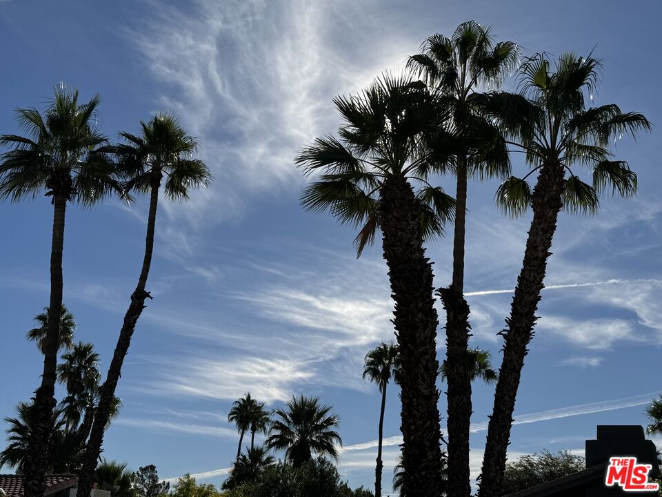 2146 North Blando Road Palm Springs, CA 92262 - Photo 21 of 31 an ocean view with a palm tree