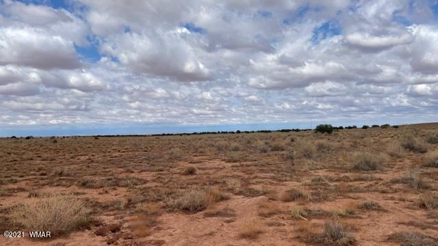 Lot 43 Snowflake Ranch Snowflake, AZ 85937 - Photo 2 of 5