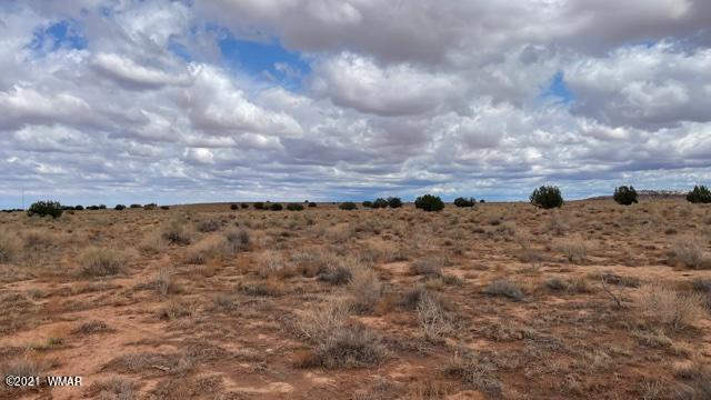 Lot 43 Snowflake Ranch Snowflake, AZ 85937 - Photo 5 of 5