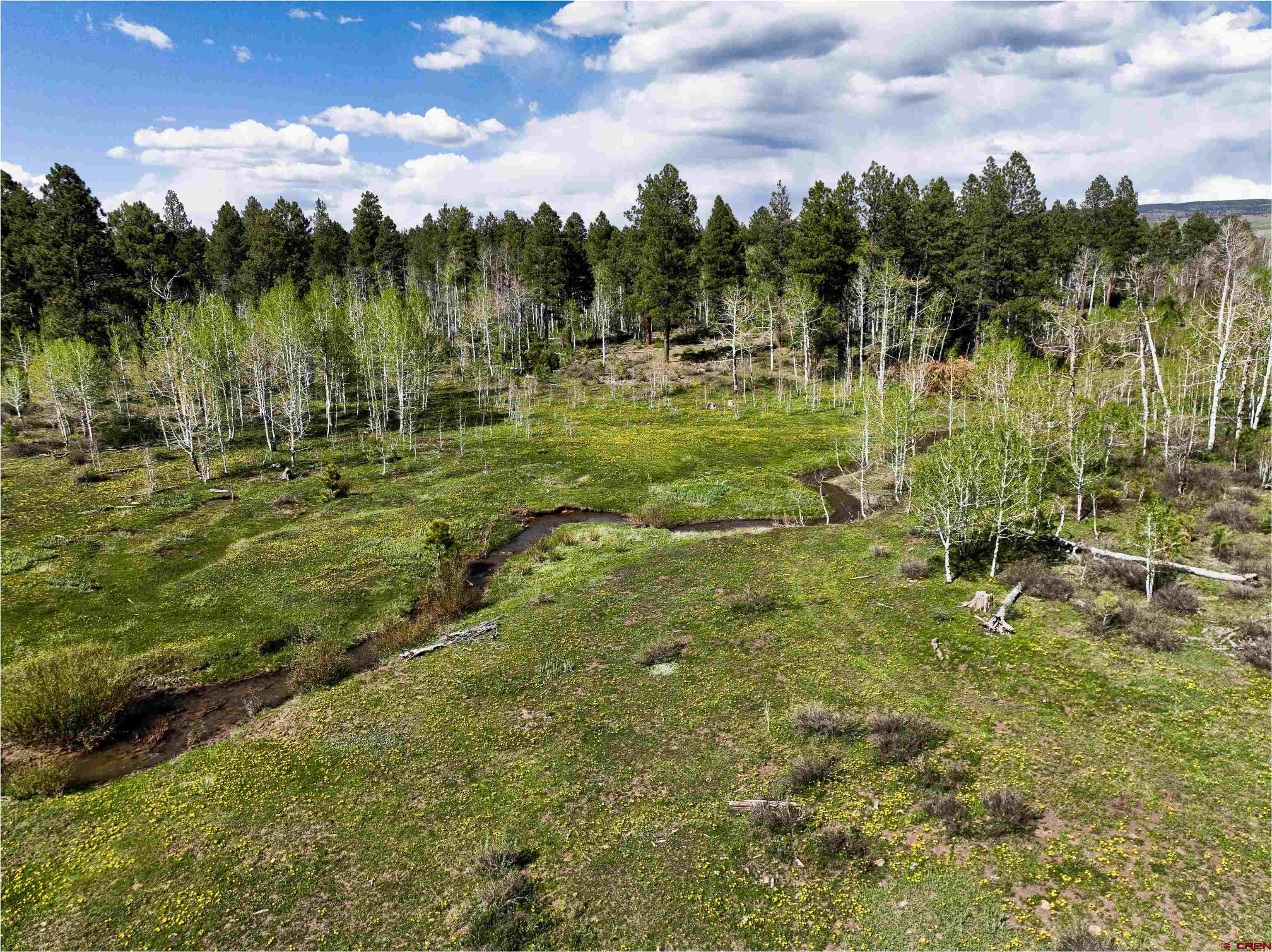 44500 Ditches Road Mancos, CO 81328 - Photo 13 of 31 Gallery Image 13