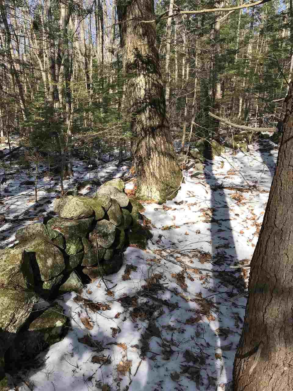 0 Birch Road, Unit LOT 211 Wolfeboro, NH 03894 - Photo 12 of 18 Gallery Image 12