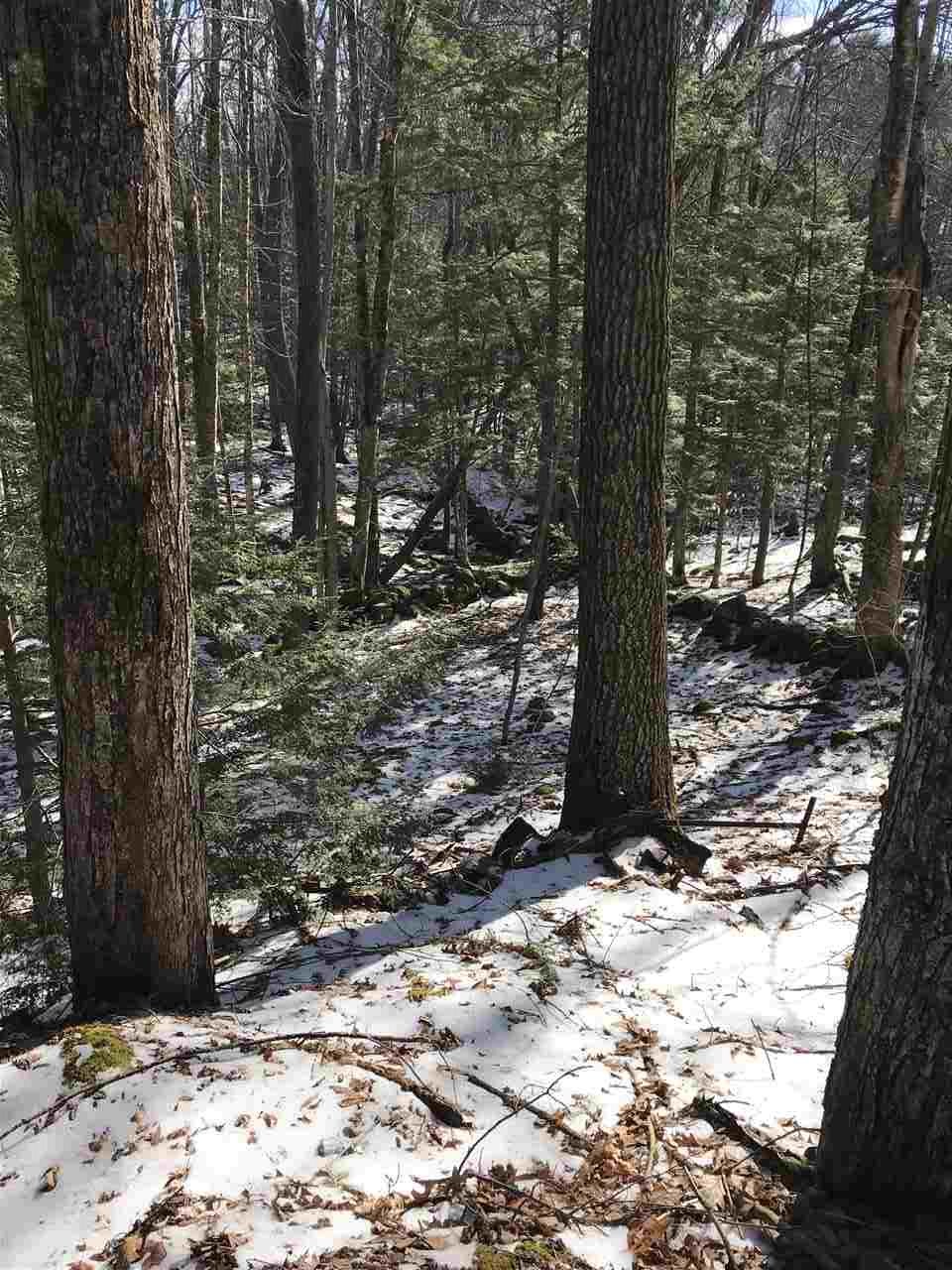 0 Birch Road, Unit LOT 211 Wolfeboro, NH 03894 - Photo 13 of 18 Gallery Image 13