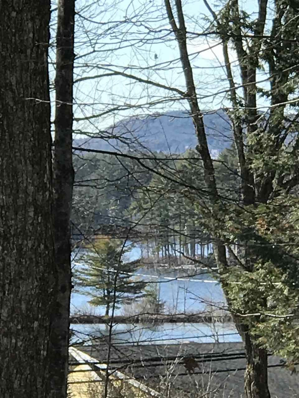 0 Birch Road, Unit LOT 211 Wolfeboro, NH 03894 - Photo 14 of 18 Gallery Image 14