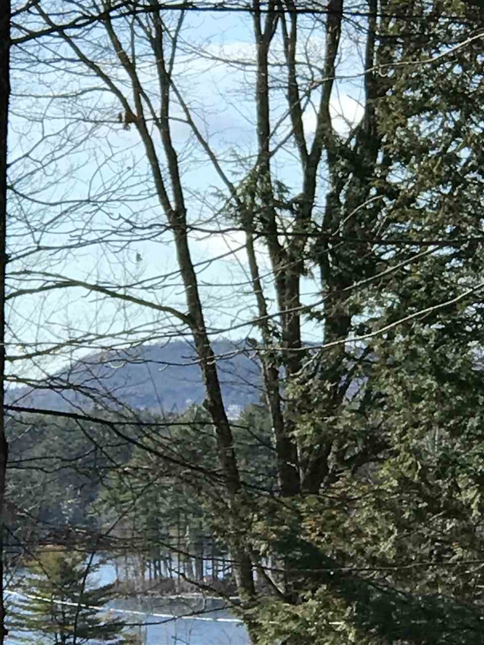 0 Birch Road, Unit LOT 211 Wolfeboro, NH 03894 - Photo 15 of 18 Gallery Image 15