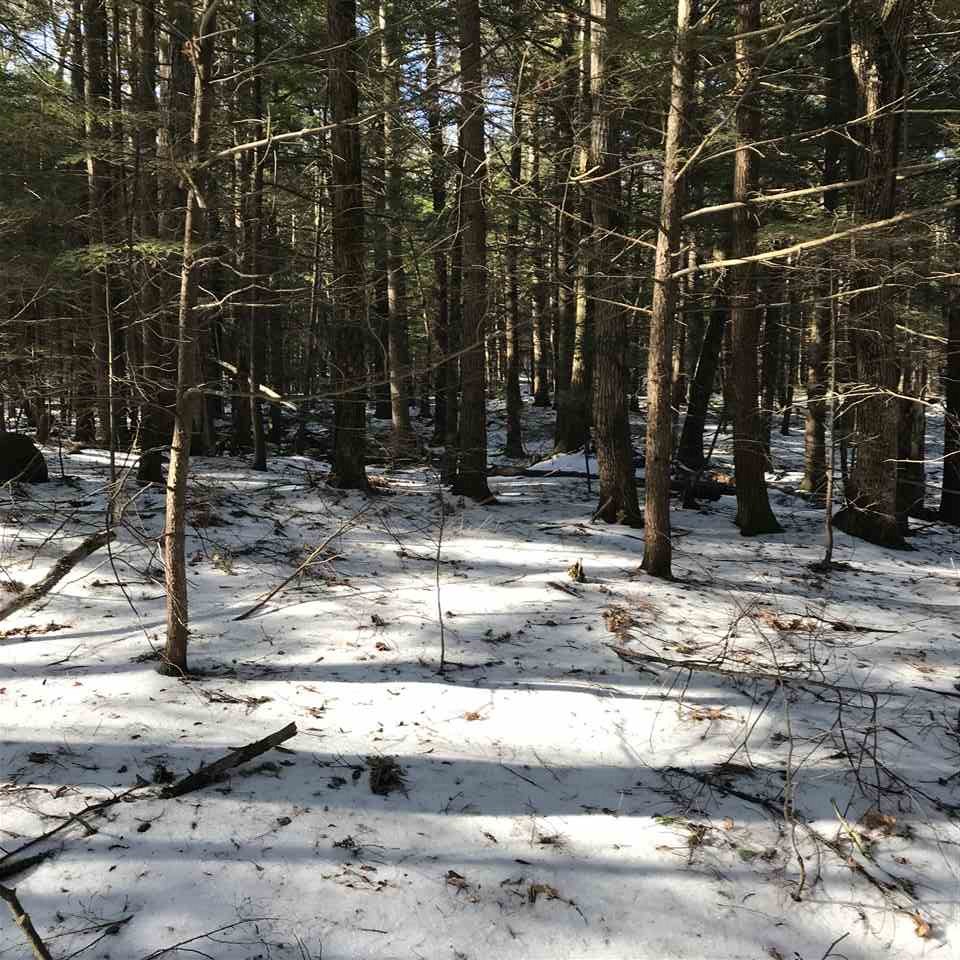 0 Birch Road, Unit LOT 211 Wolfeboro, NH 03894 - Photo 8 of 18 Gallery Image 8