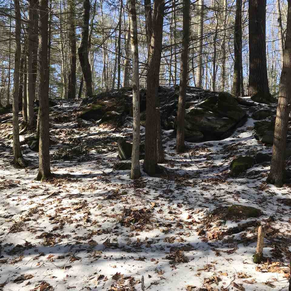0 Birch Road, Unit LOT 211 Wolfeboro, NH 03894 - Photo 10 of 18 Gallery Image 10