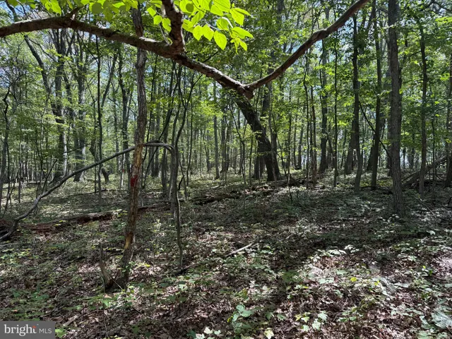 a view of outdoor space and view of trees