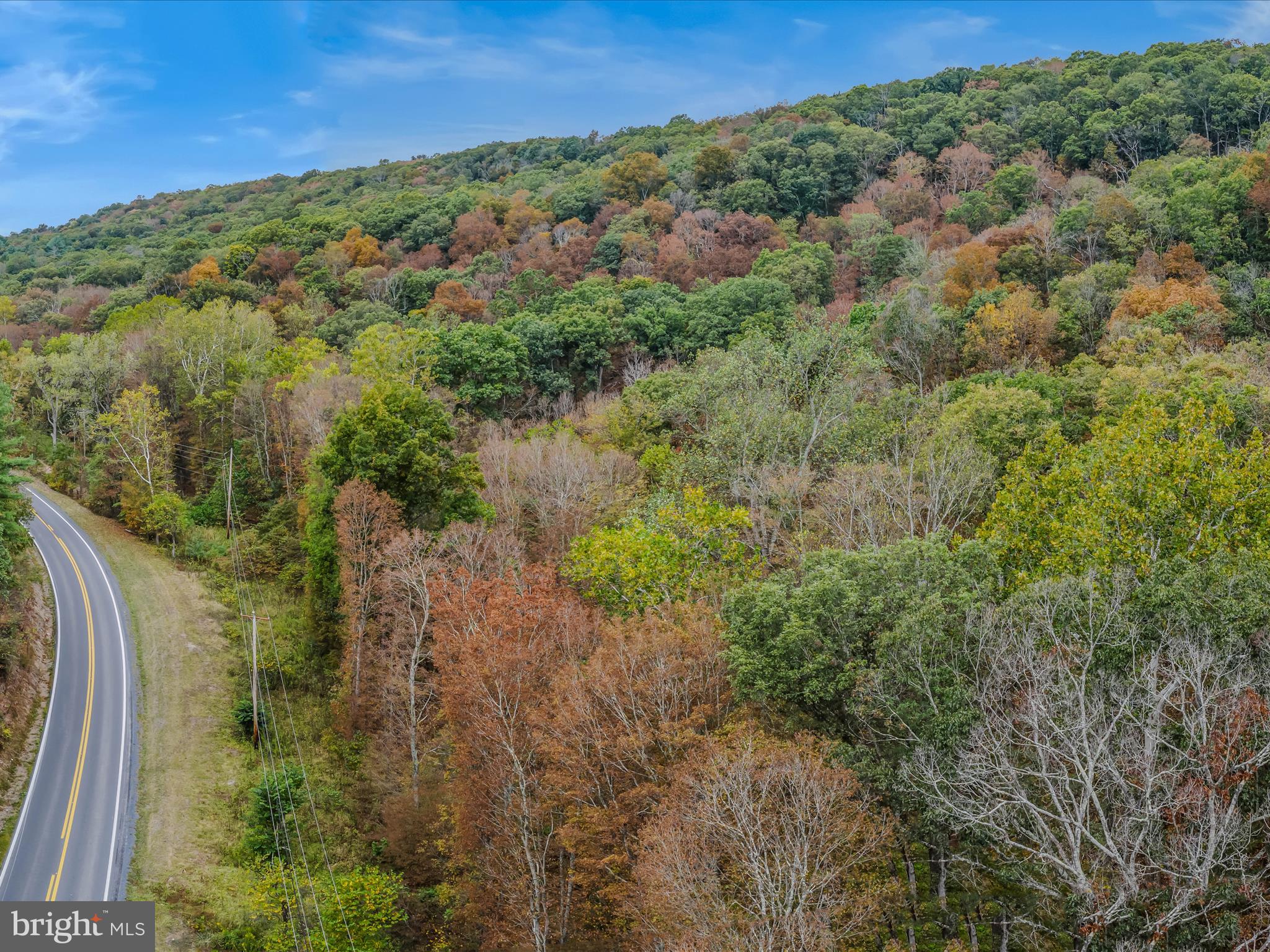 Cacapon Road Great Cacapon, WV 25422 - Photo 2 of 66 a view of a forest with a lake