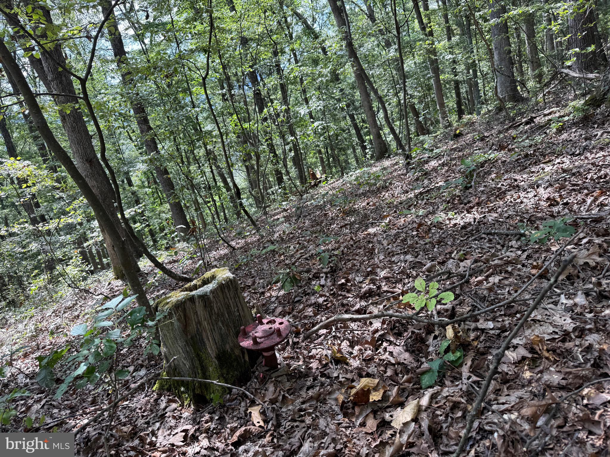 Cacapon Road Great Cacapon, WV 25422 - Photo 22 of 66 Setting - Back Corner Marker