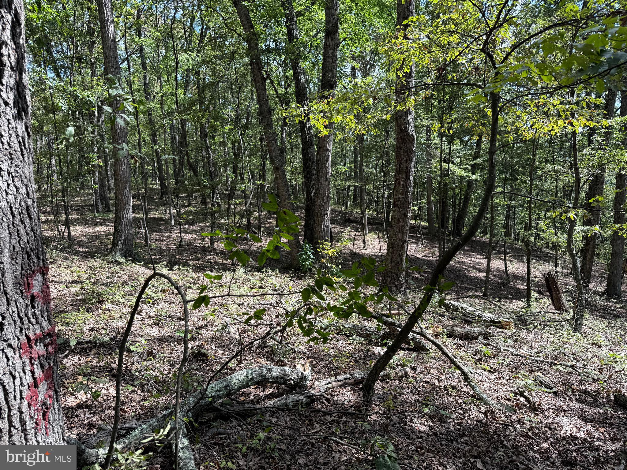 Cacapon Road Great Cacapon, WV 25422 - Photo 23 of 66 a view of outdoor space