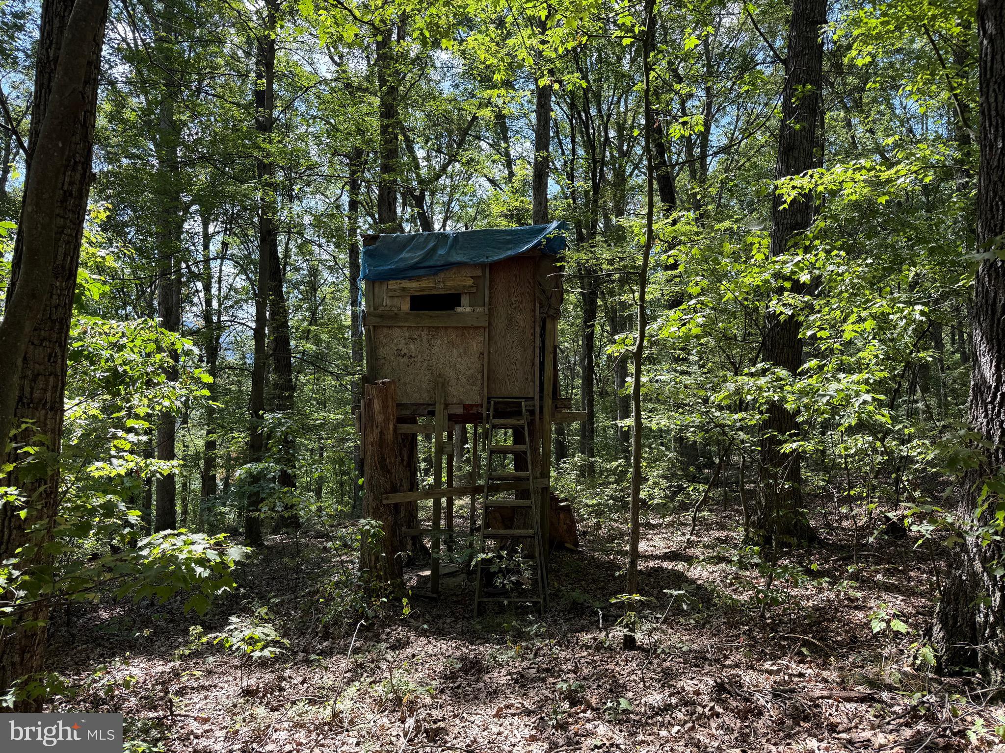 Cacapon Road Great Cacapon, WV 25422 - Photo 28 of 66 Setting