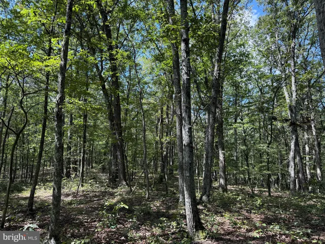 a view of a large yard with lots of green space