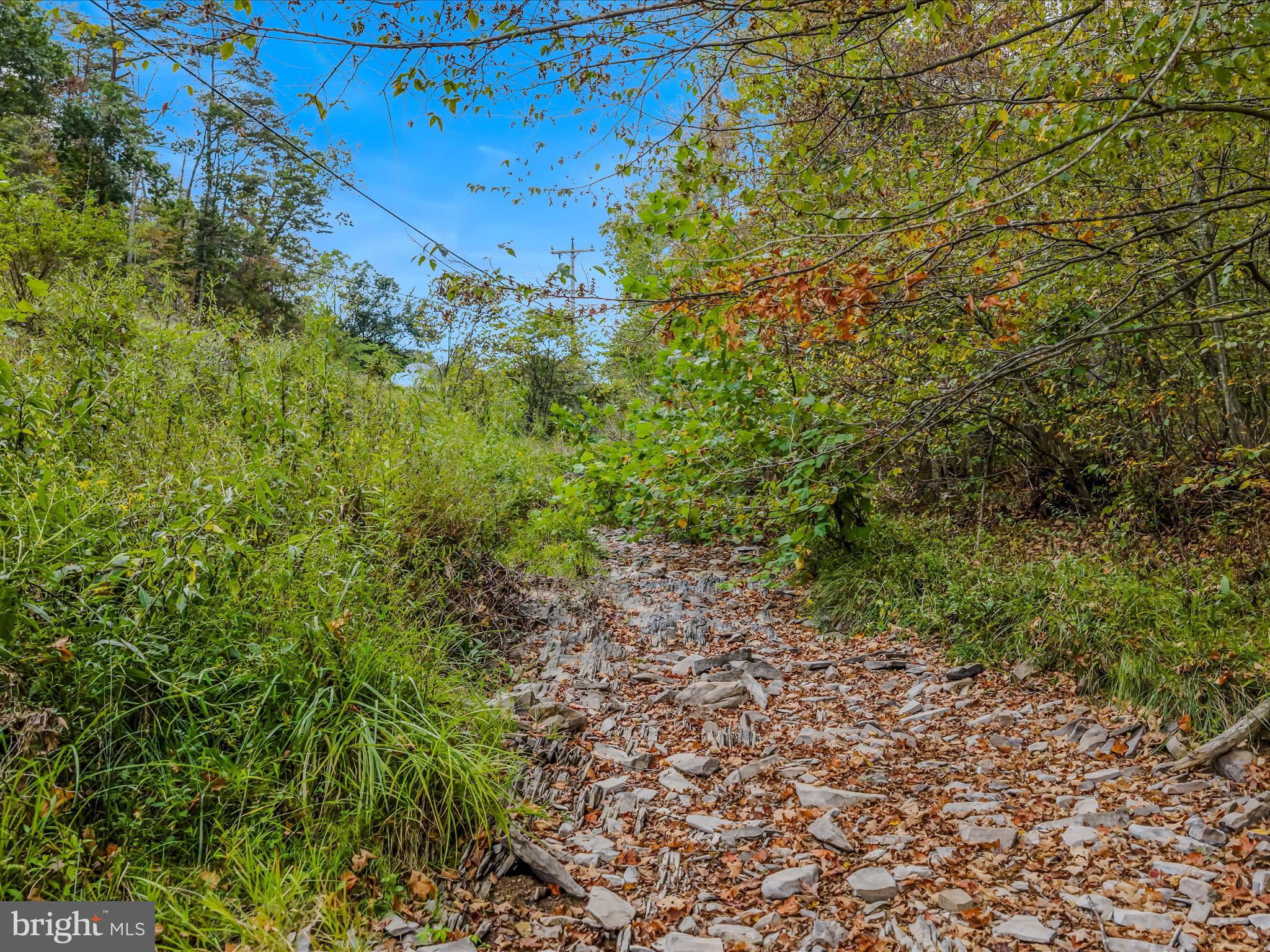 Cacapon Road Great Cacapon, WV 25422 - Photo 42 of 66 a view of a large yard with lots of green space