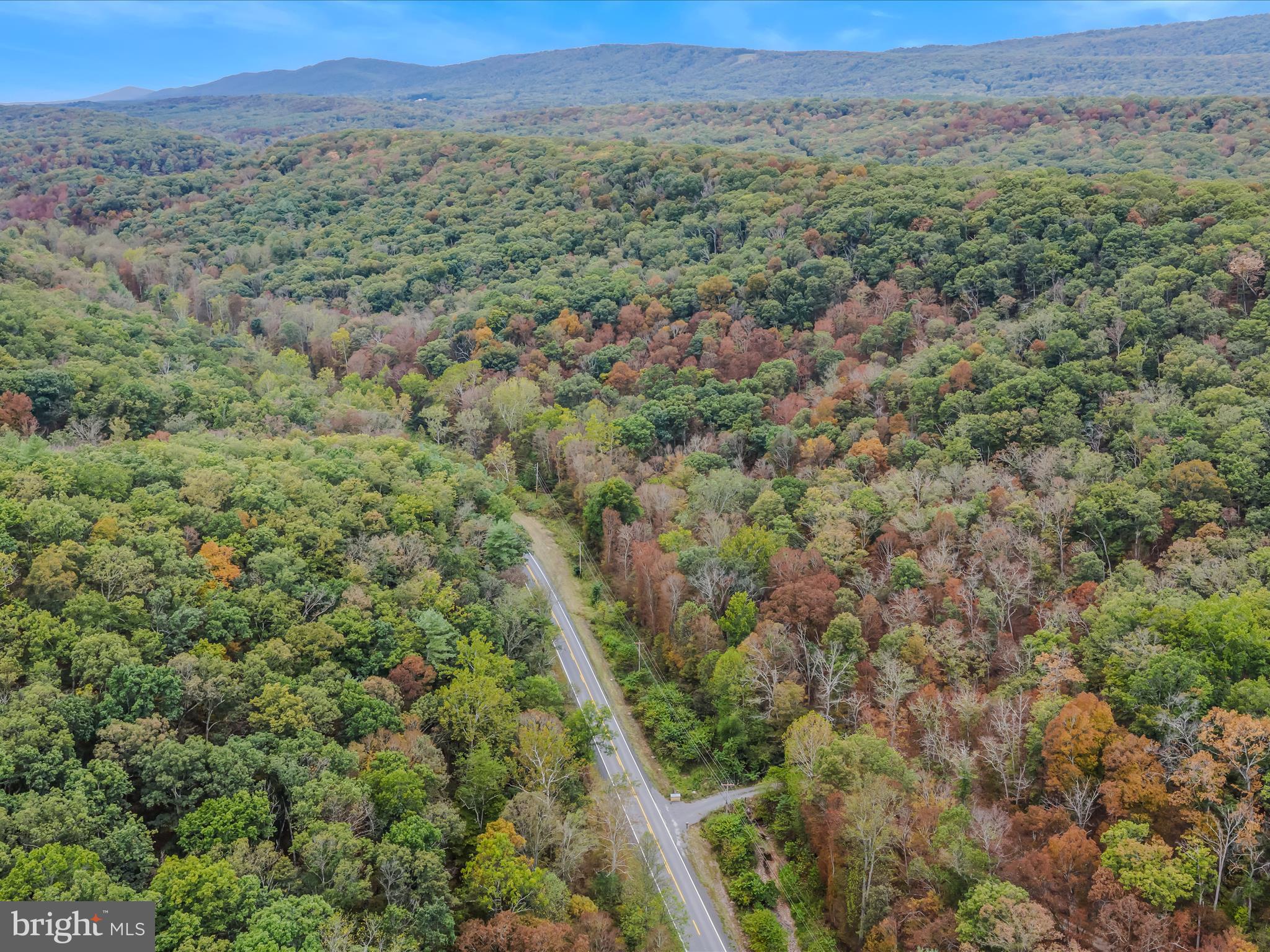 Cacapon Road Great Cacapon, WV 25422 - Photo 44 of 66 a view of a lush green forest with lush green forest