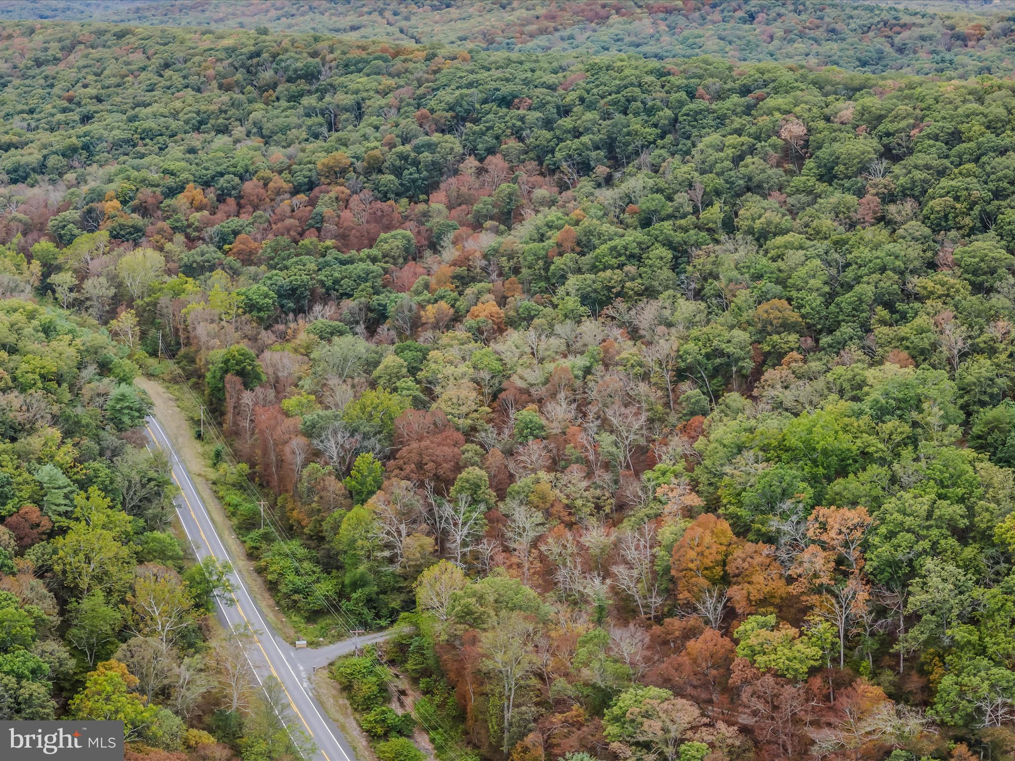Cacapon Road Great Cacapon, WV 25422 - Photo 45 of 66 a view of a forest with a street