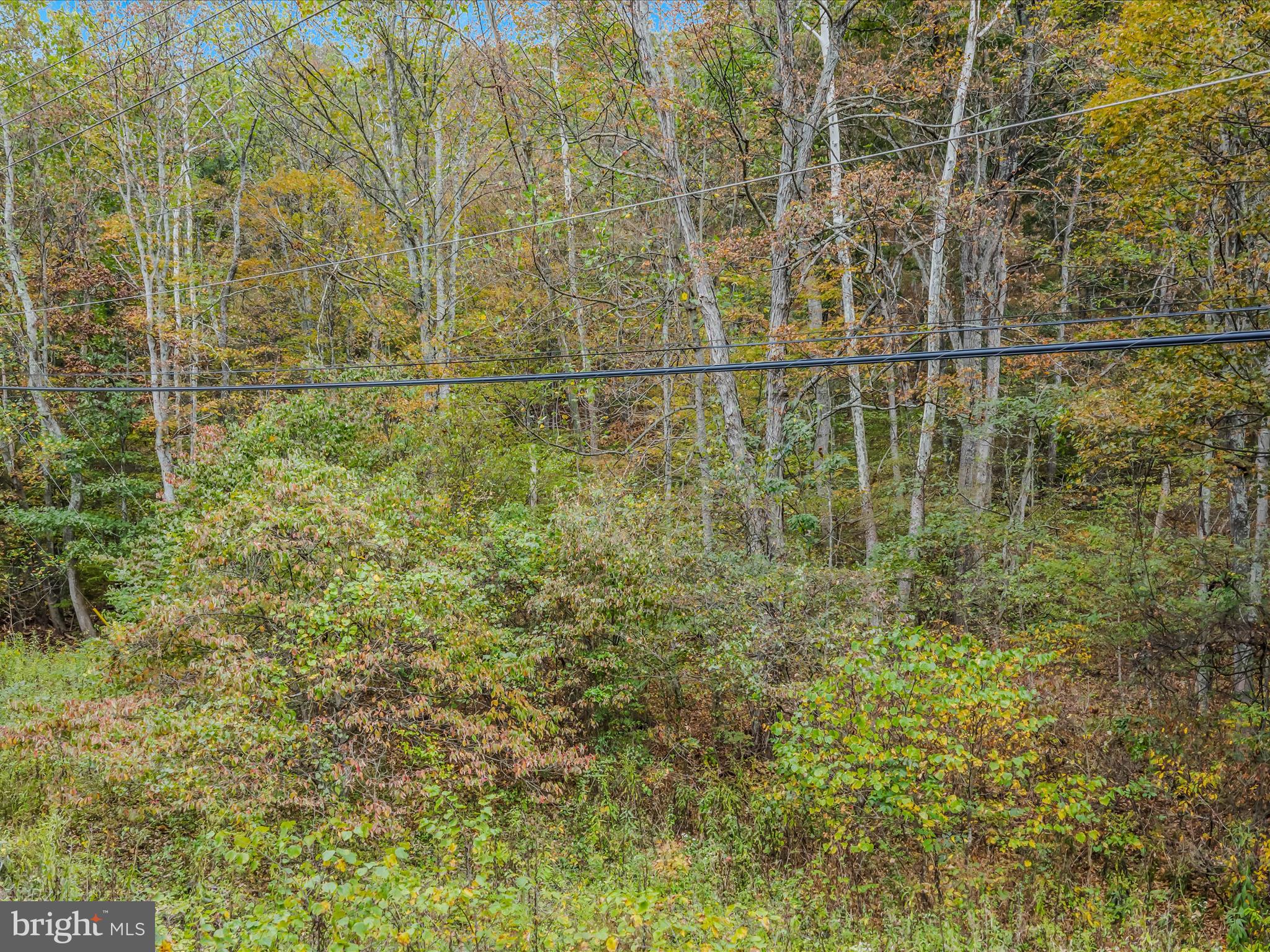 Cacapon Road Great Cacapon, WV 25422 - Photo 46 of 66 a bathroom with a shower