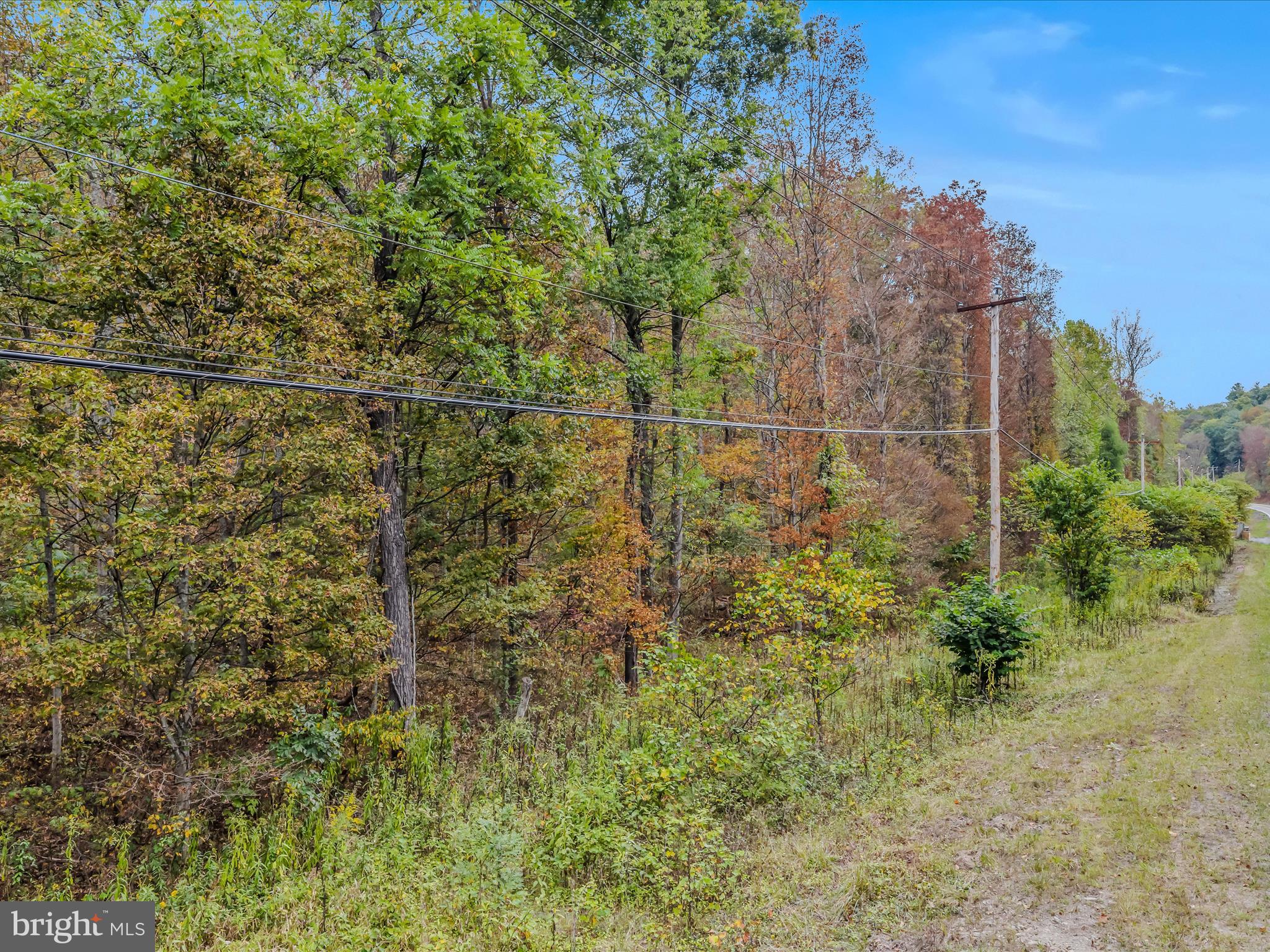 Cacapon Road Great Cacapon, WV 25422 - Photo 47 of 66 a view of a small yard