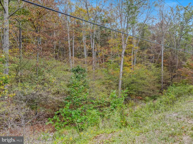 a view of a field with a mountain in the background