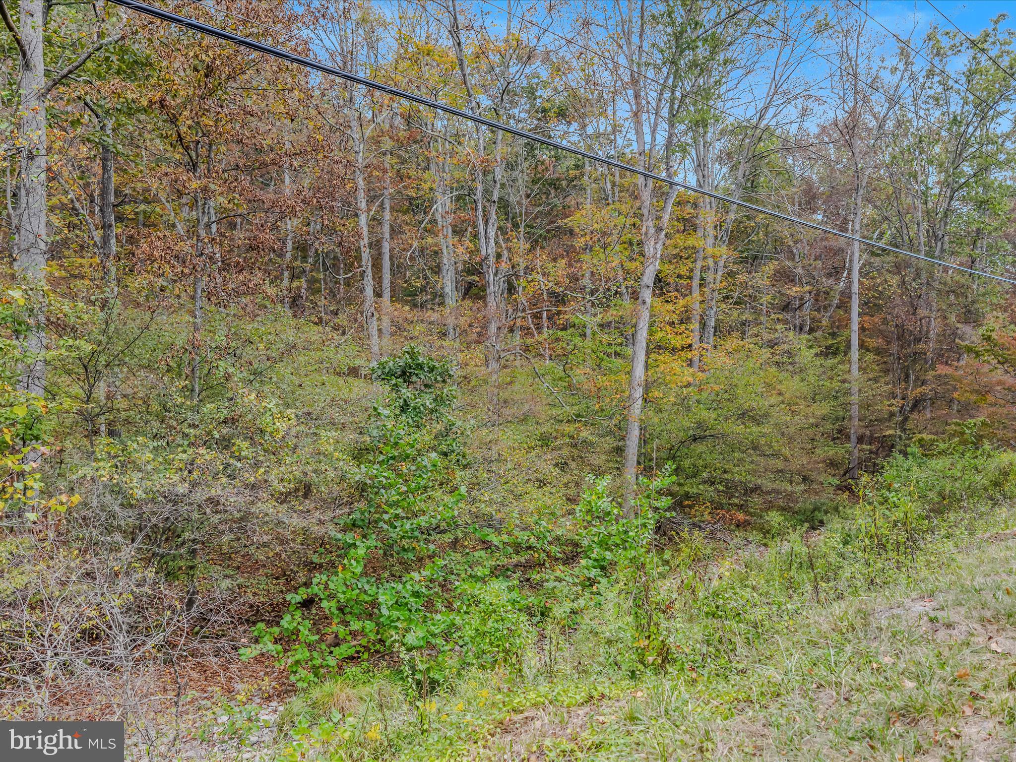 Cacapon Road Great Cacapon, WV 25422 - Photo 48 of 66 Lot Cacapon Rd-Great Cacapon