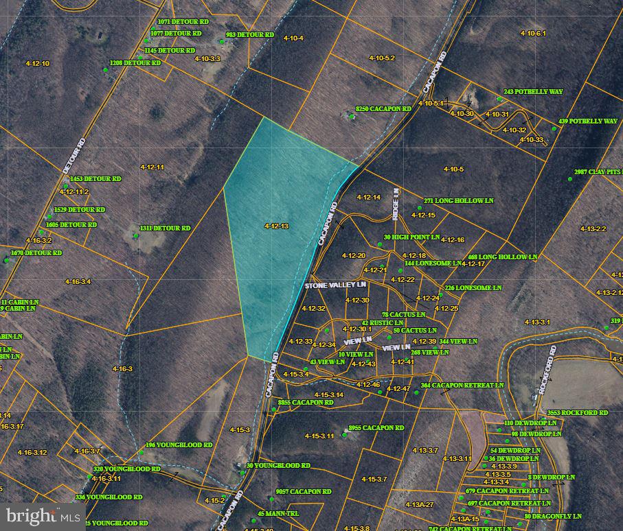 Cacapon Road Great Cacapon, WV 25422 - Photo 49 of 66