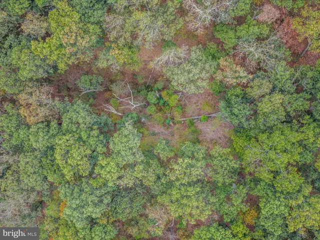 a view of a big yard with lots of bushes
